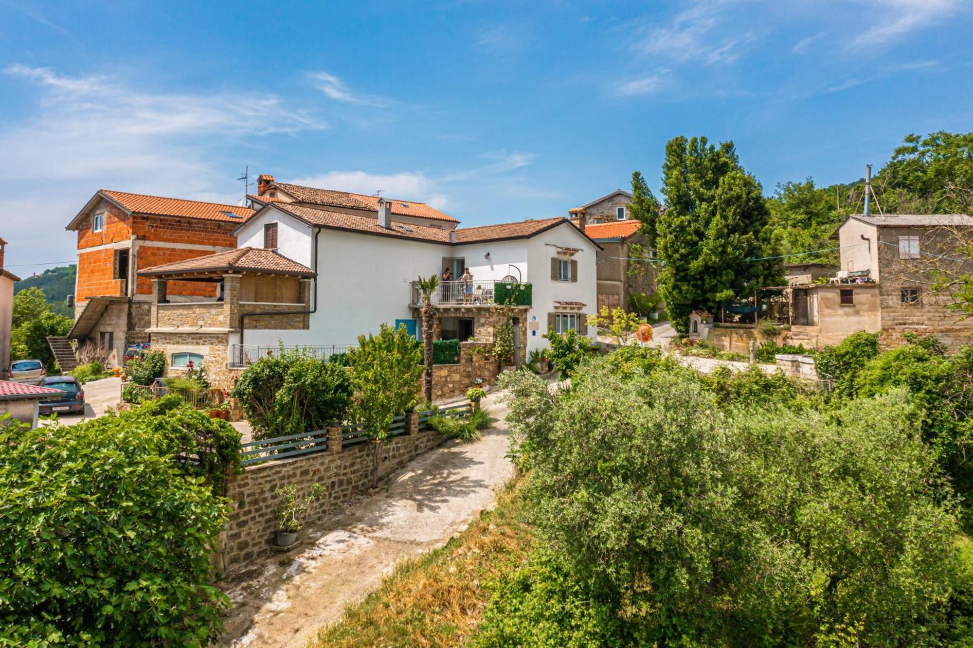 Holiday Home Belveder Motovun With Heated Pool Ливаде Экстерьер фото