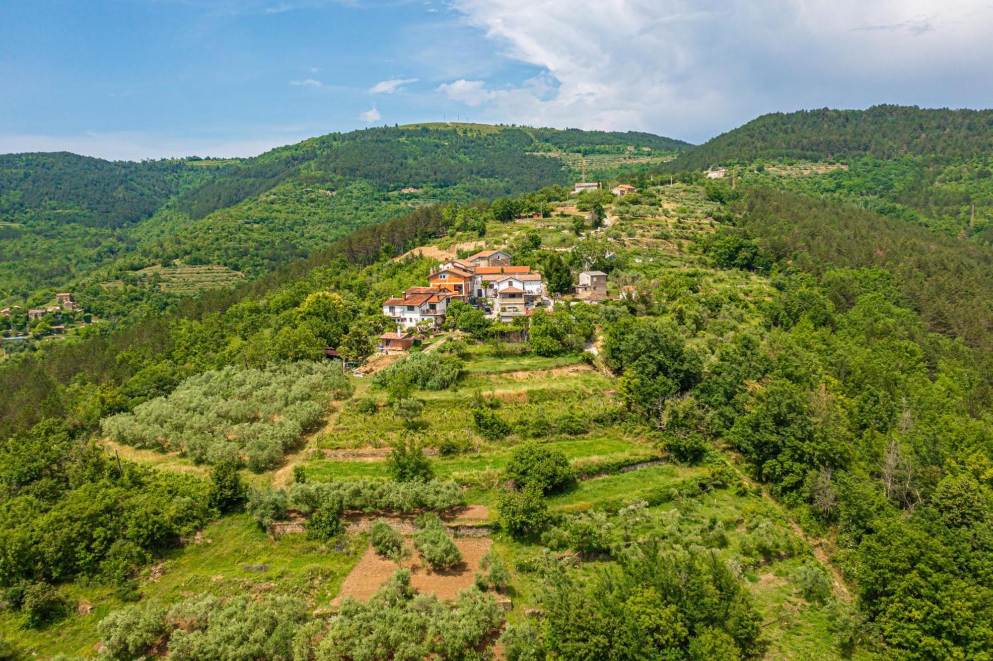 Holiday Home Belveder Motovun With Heated Pool Ливаде Экстерьер фото