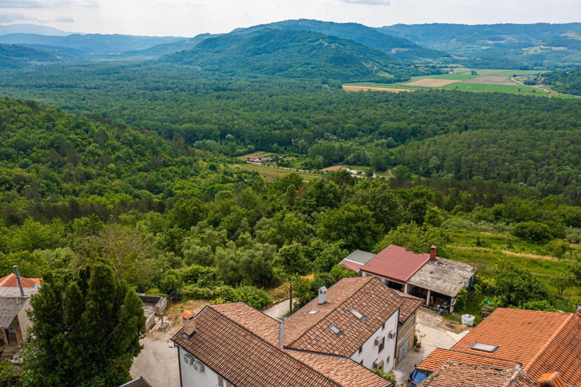 Holiday Home Belveder Motovun With Heated Pool Ливаде Экстерьер фото